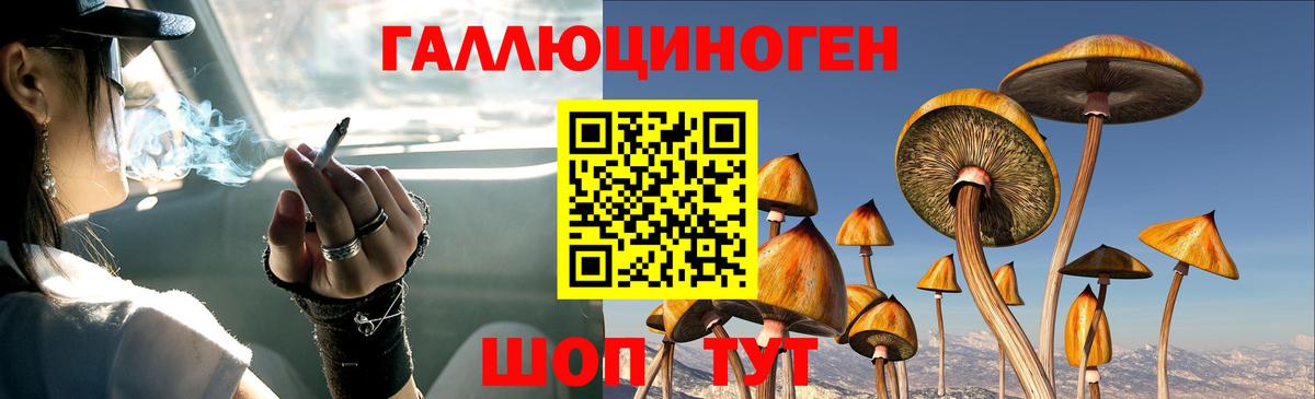 Алексеевка  Псилоцибиновые грибы Psilocybine cubensis  Вход с VPN  Галлюциногенные грибы прущие грибы 